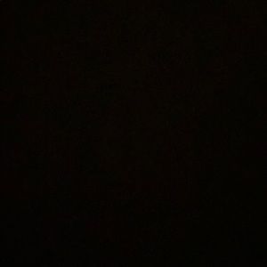 Meet your Posher, Chase